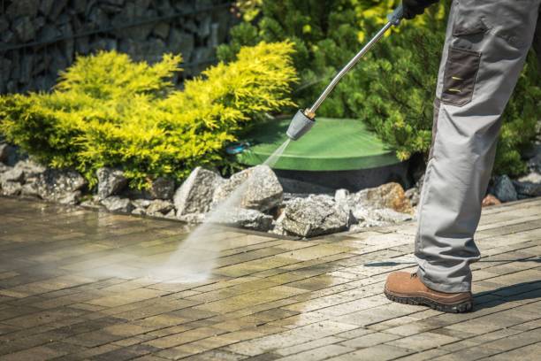 Best Driveway Cleaning and Restoration in Jasper, TX