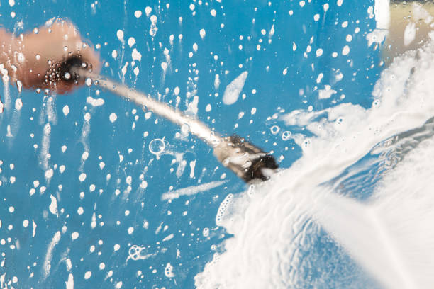 Best Roof Cleaning and Mildew Removal in Jasper, TX